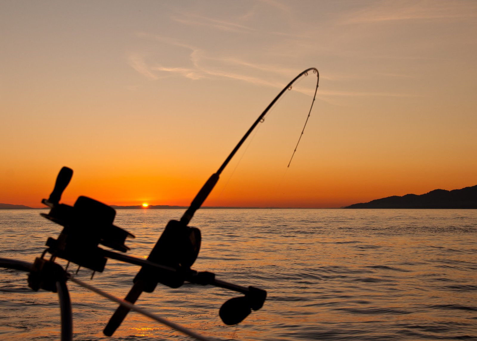 Free stock photo of angler, angling, boat